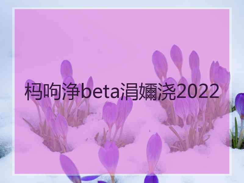 杩呴浄beta涓嬭浇2022