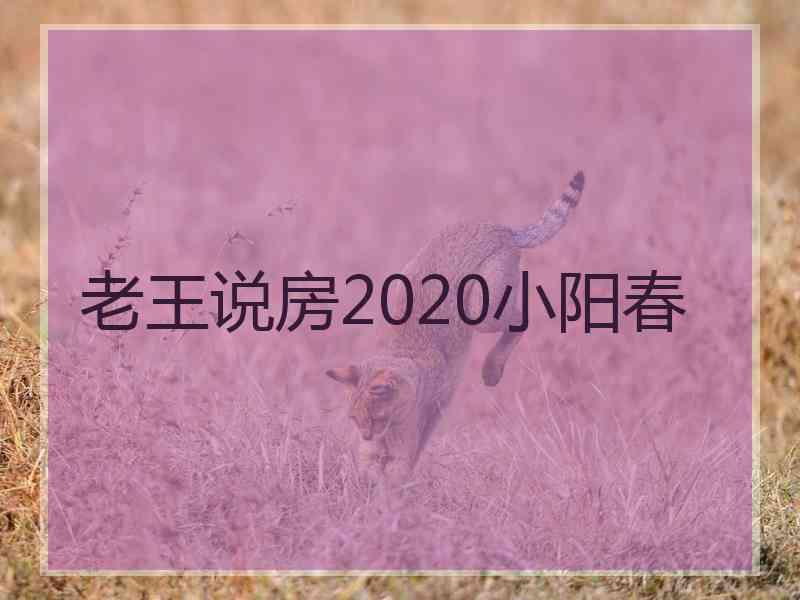 老王说房2020小阳春