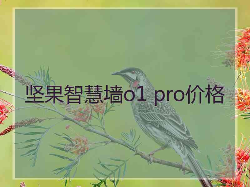 坚果智慧墙o1 pro价格