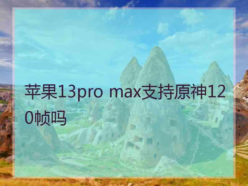 苹果13pro max支持原神120帧吗