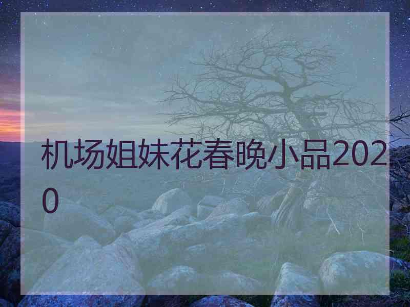 机场姐妹花春晚小品2020