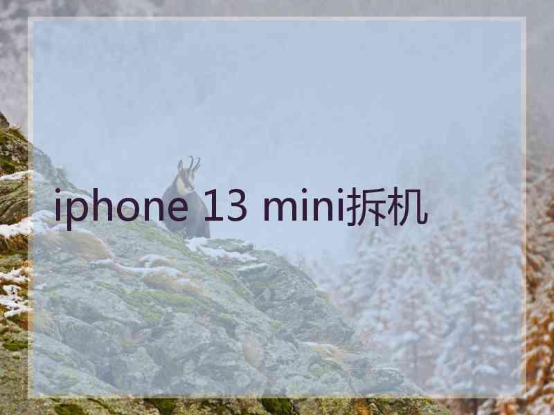 iphone 13 mini拆机