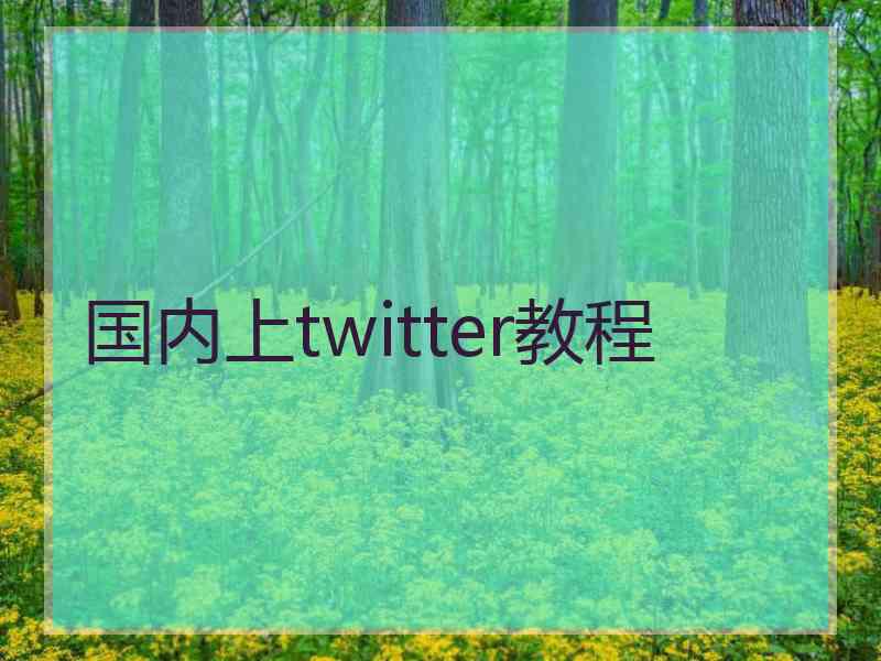 国内上twitter教程