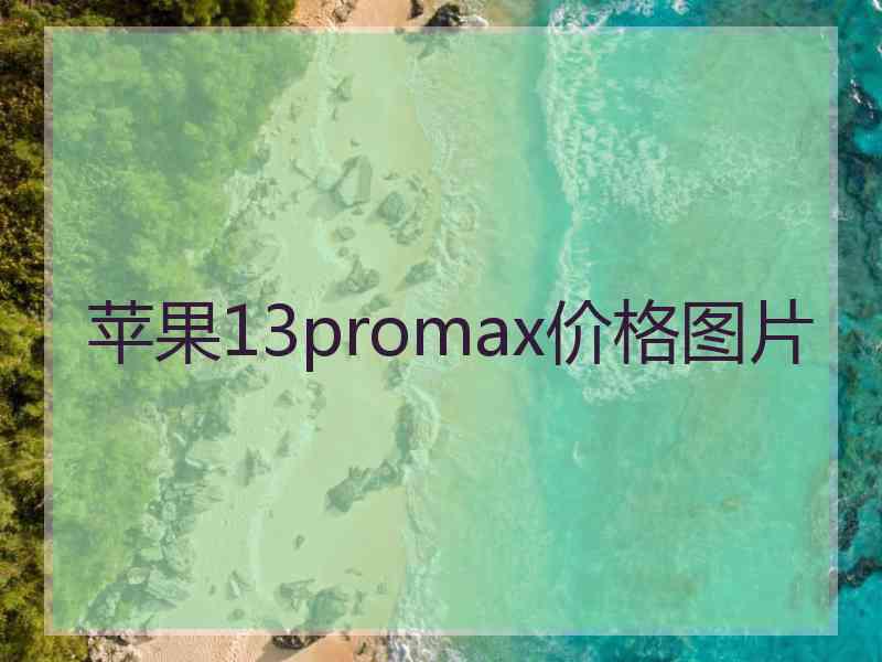 苹果13promax价格图片