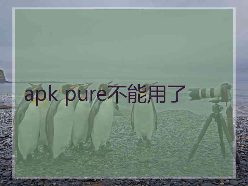 apk pure不能用了