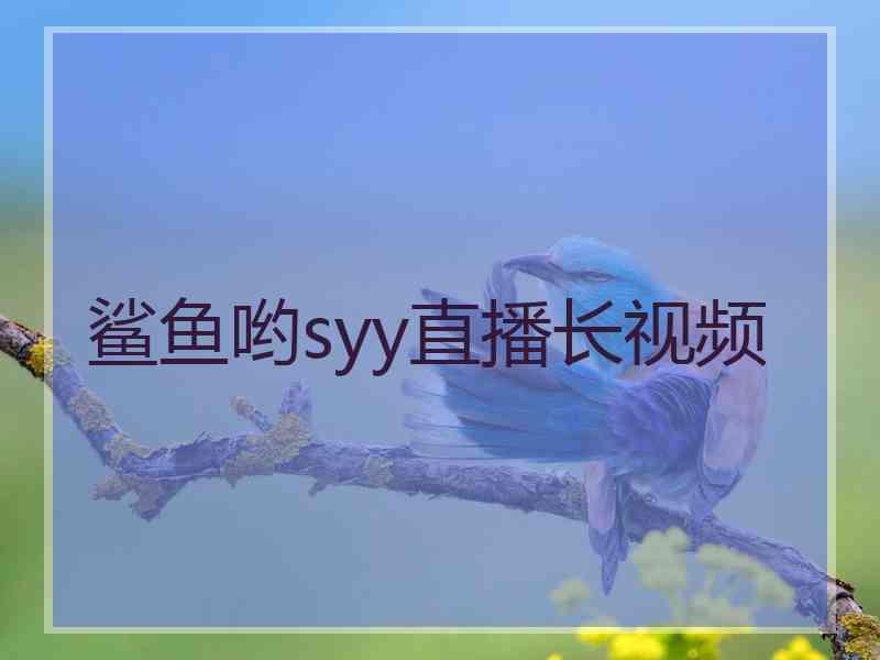 鲨鱼哟syy直播长视频