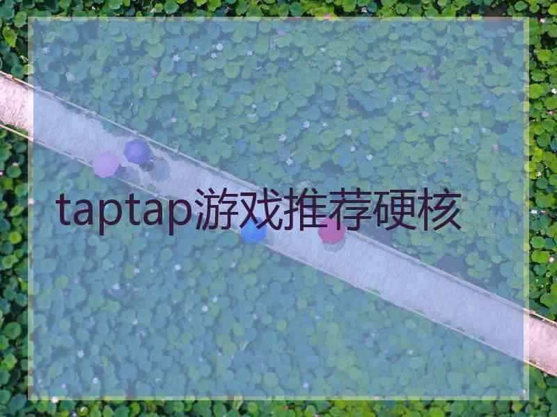 taptap游戏推荐硬核