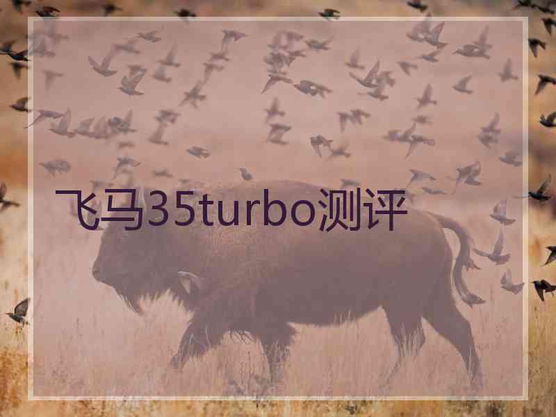 飞马35turbo测评