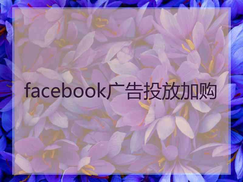 facebook广告投放加购