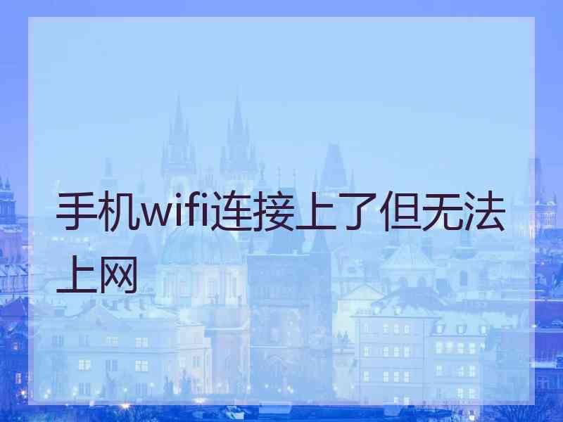 手机wifi连接上了但无法上网