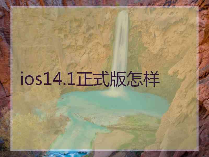 ios14.1正式版怎样