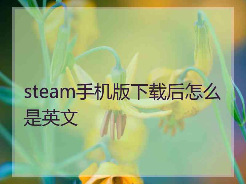 steam手机版下载后怎么是英文