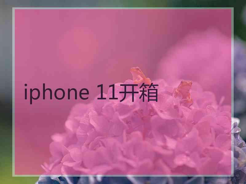 iphone 11开箱