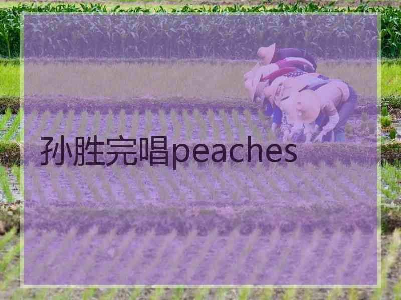 孙胜完唱peaches