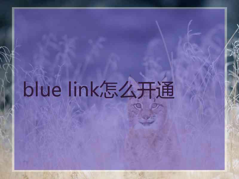 blue link怎么开通