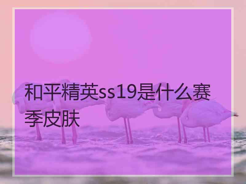 和平精英ss19是什么赛季皮肤