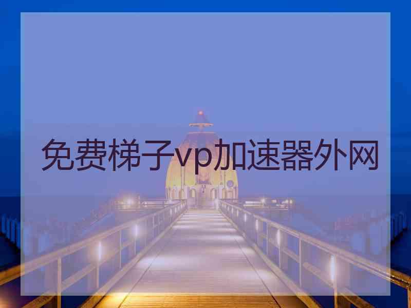 免费梯子vp加速器外网