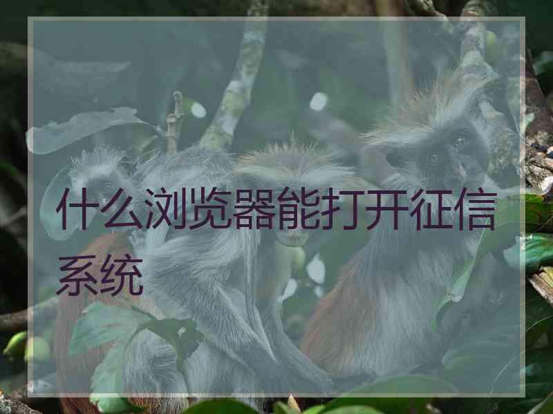 什么浏览器能打开征信系统