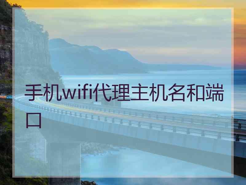 手机wifi代理主机名和端口