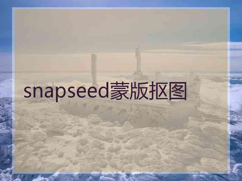 snapseed蒙版抠图