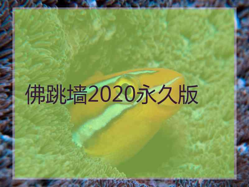 佛跳墙2020永久版