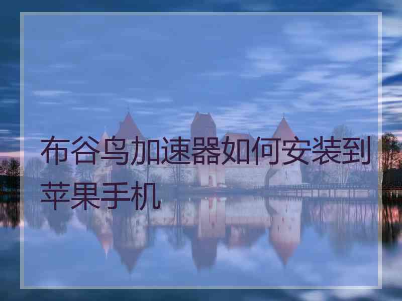 布谷鸟加速器如何安装到苹果手机