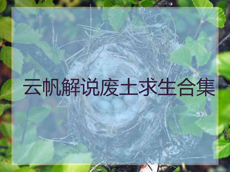 云帆解说废土求生合集