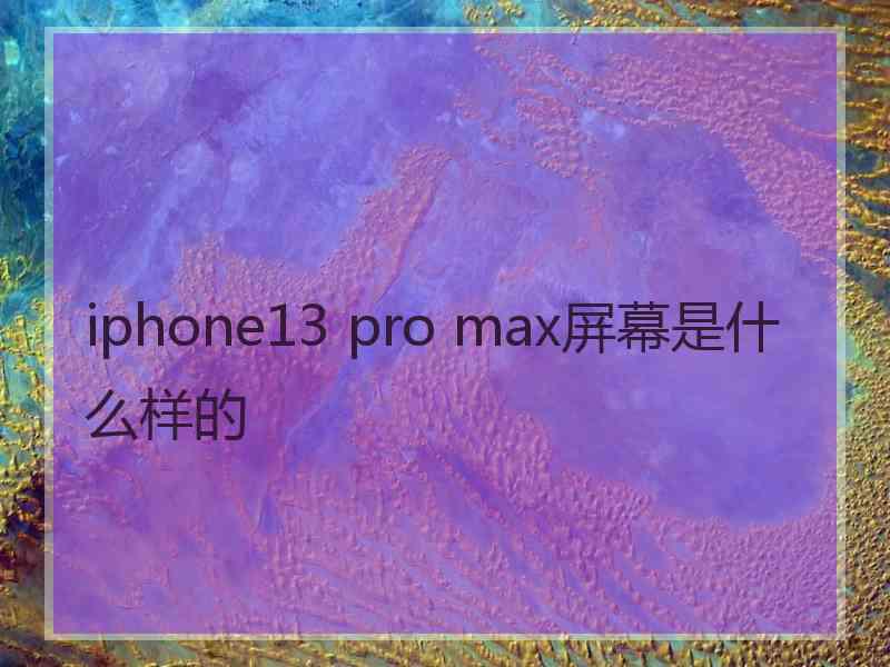 iphone13 pro max屏幕是什么样的