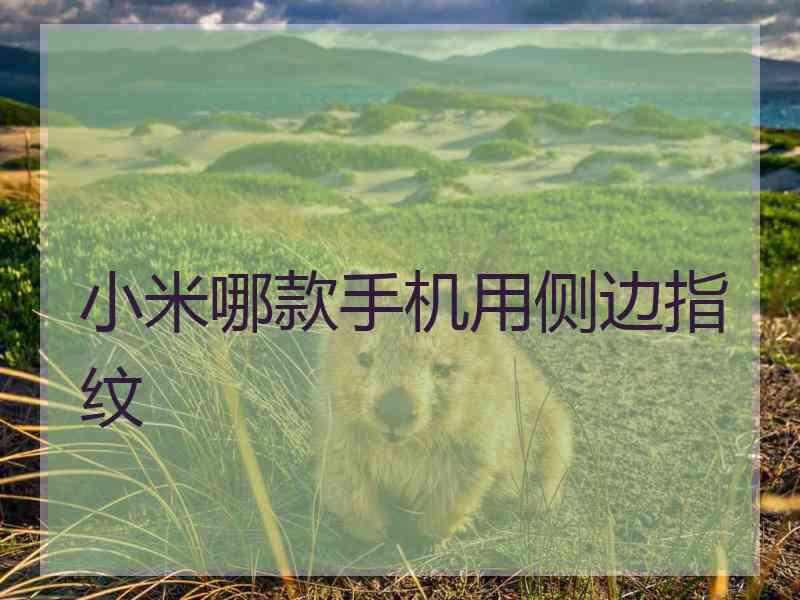 小米哪款手机用侧边指纹