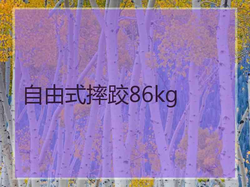 自由式摔跤86kg