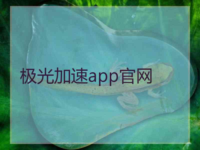 极光加速app官网