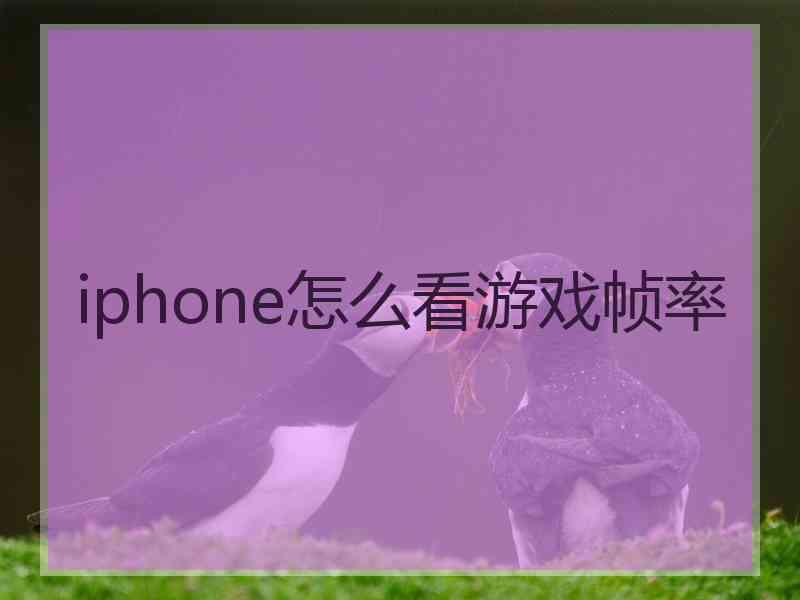 iphone怎么看游戏帧率