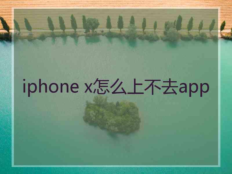 iphone x怎么上不去app