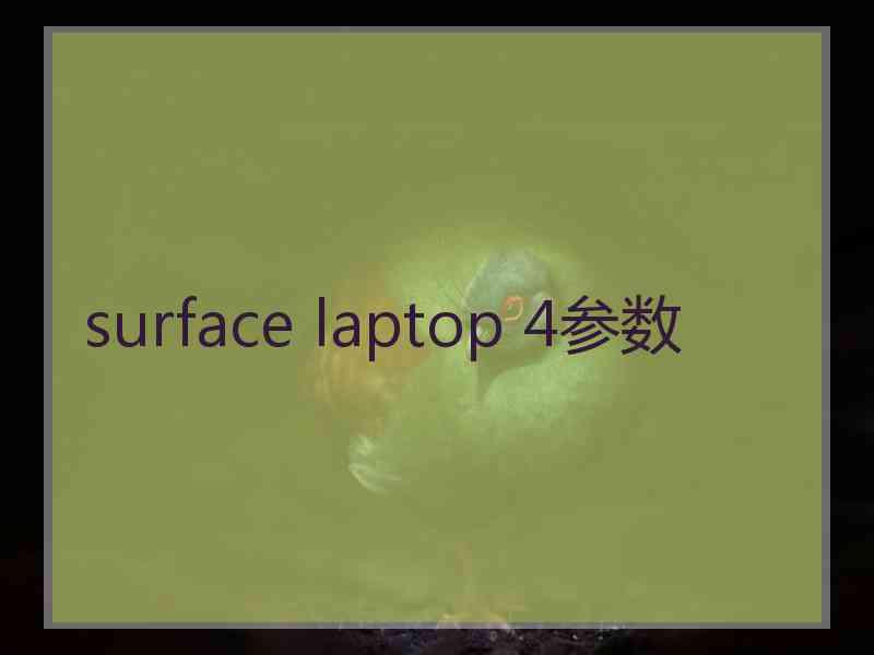 surface laptop 4参数