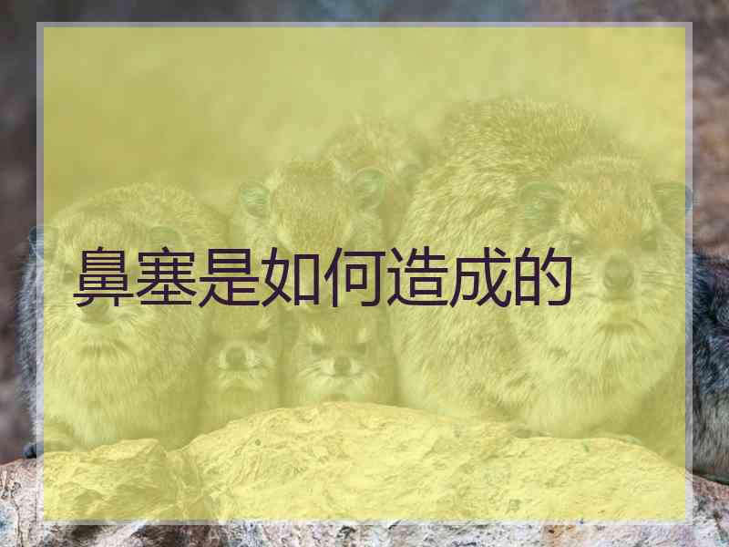 鼻塞是如何造成的