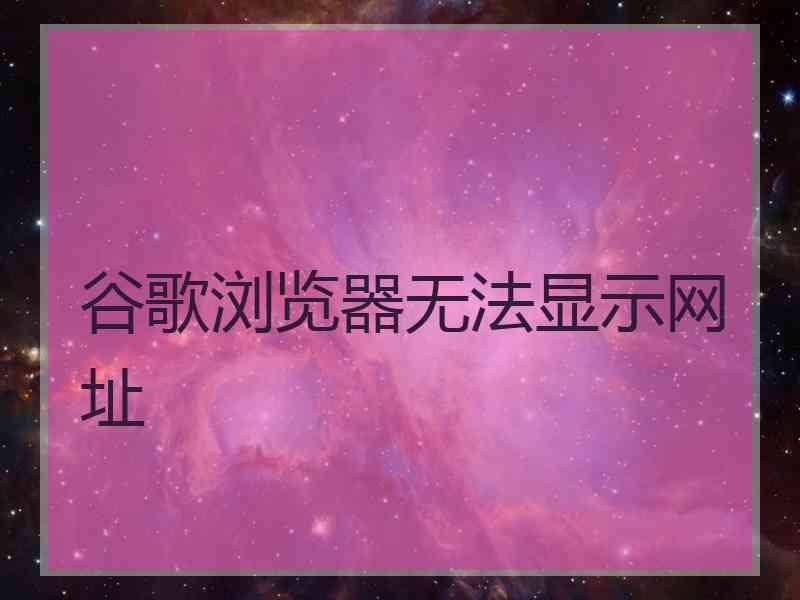 谷歌浏览器无法显示网址