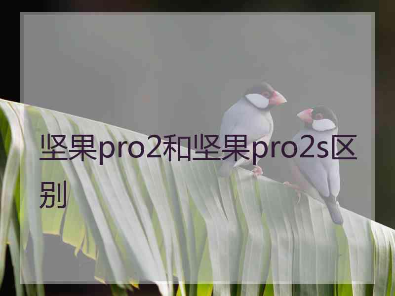 坚果pro2和坚果pro2s区别