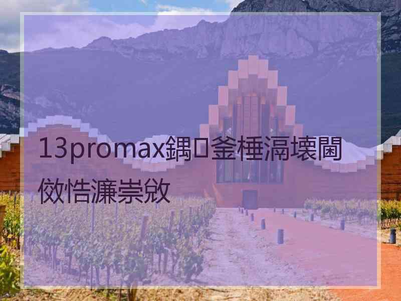 13promax鍝釜棰滆壊閫傚悎濂崇敓