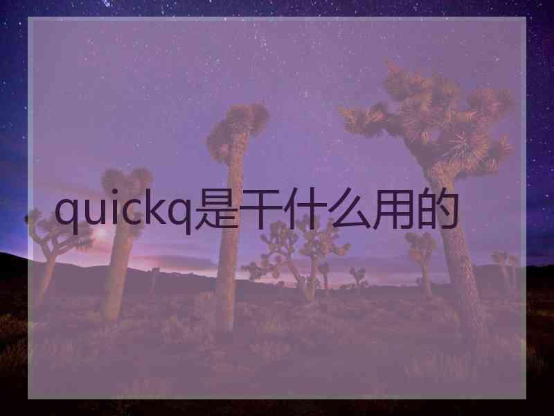 quickq是干什么用的