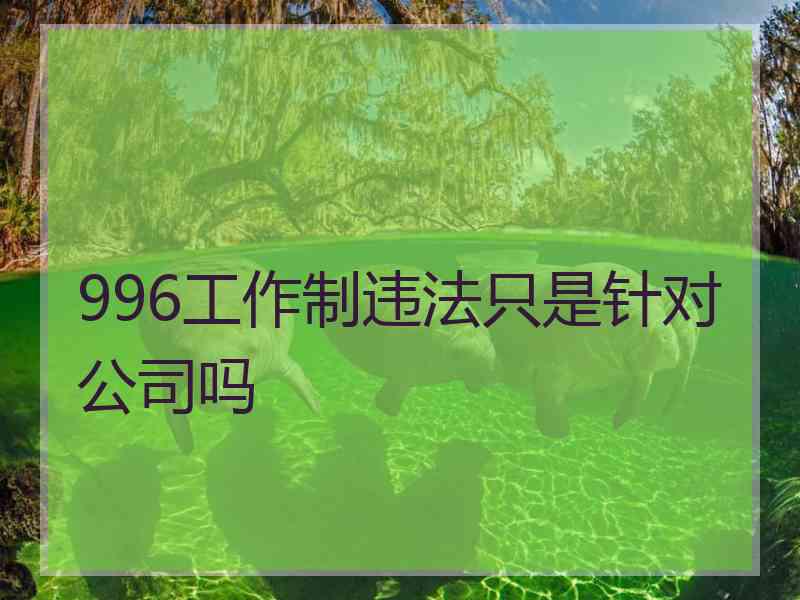 996工作制违法只是针对公司吗