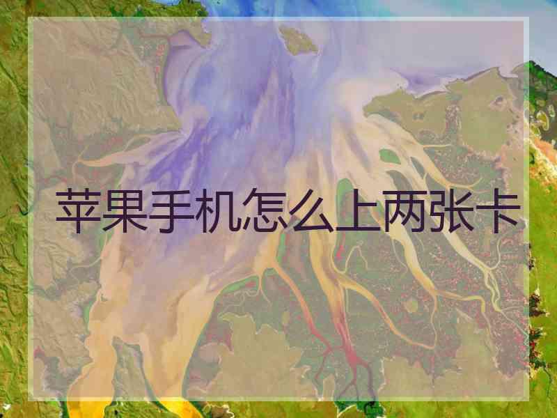 苹果手机怎么上两张卡