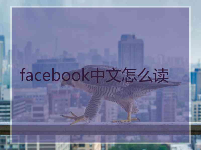 facebook中文怎么读