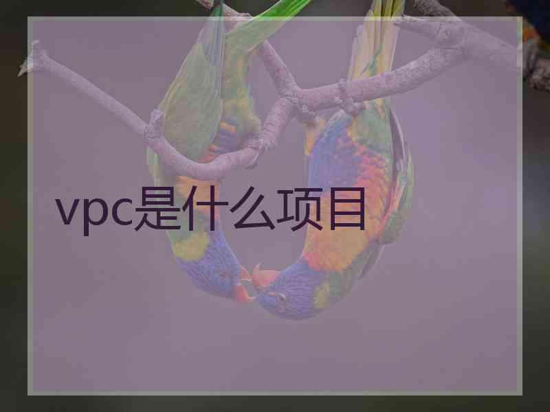 vpc是什么项目