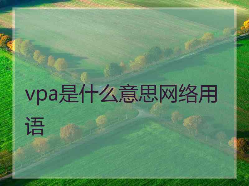 vpa是什么意思网络用语