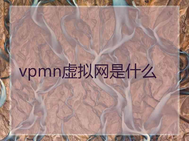 vpmn虚拟网是什么