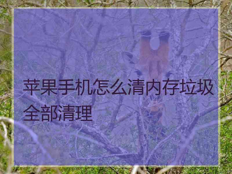 苹果手机怎么清内存垃圾全部清理