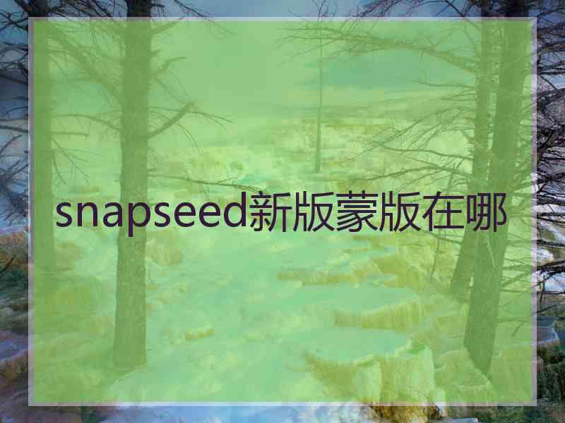 snapseed新版蒙版在哪