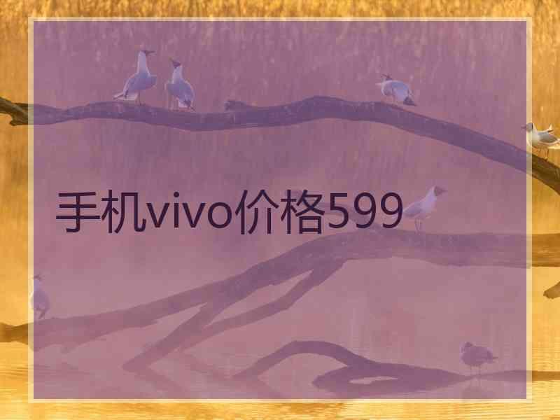 手机vivo价格599