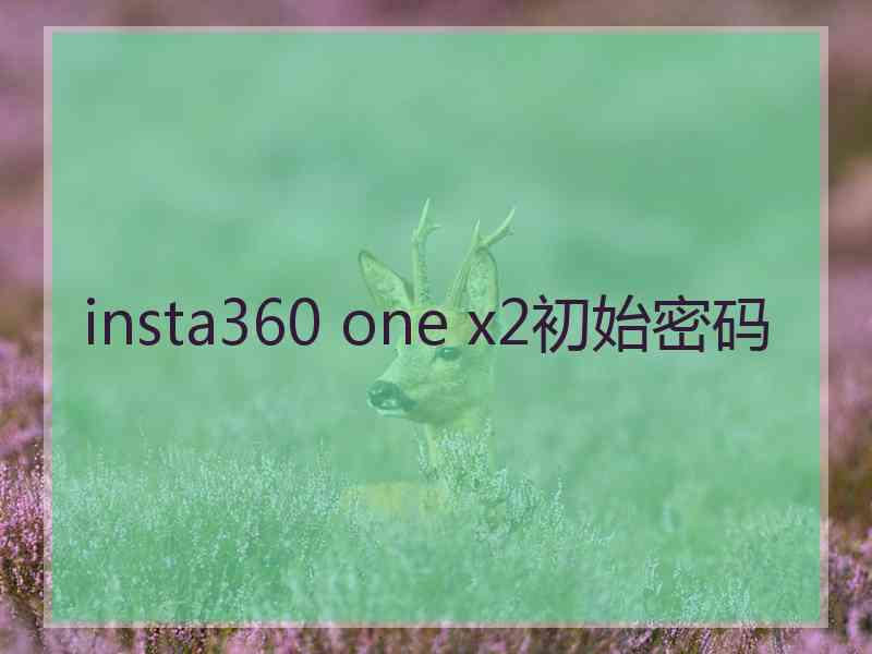 insta360 one x2初始密码