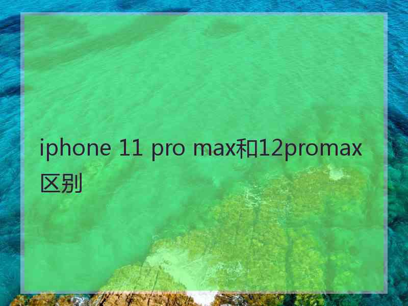 iphone 11 pro max和12promax区别